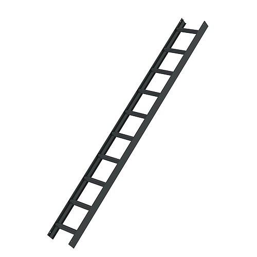 Dachleiter Anthrazitgrau 10 Sprossen 11198 Dachleiter Anthrazitgrau 10 Sprossen